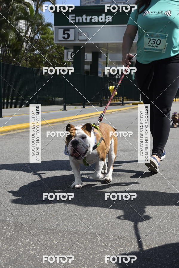 Buy your photos of the event2� Pet Run Shopping Eldorado  on Fotop