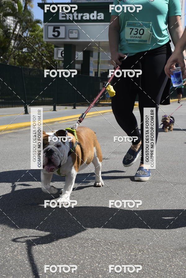 Buy your photos of the event2� Pet Run Shopping Eldorado  on Fotop