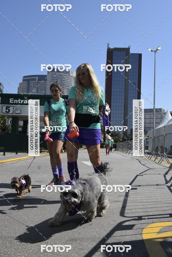 Buy your photos of the event2� Pet Run Shopping Eldorado  on Fotop
