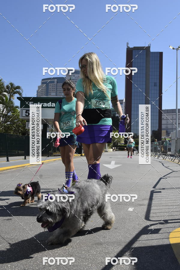 Buy your photos of the event2� Pet Run Shopping Eldorado  on Fotop