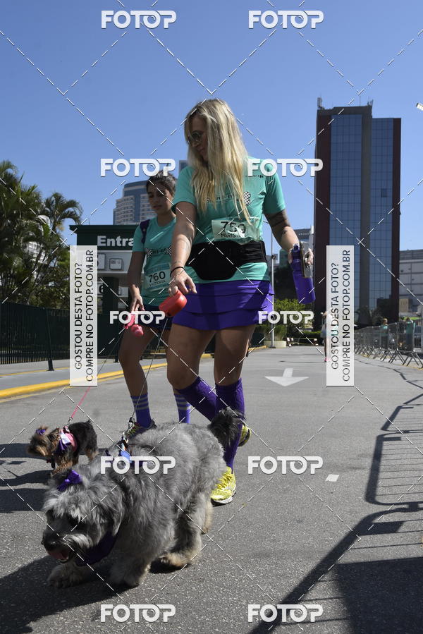 Buy your photos of the event2� Pet Run Shopping Eldorado  on Fotop