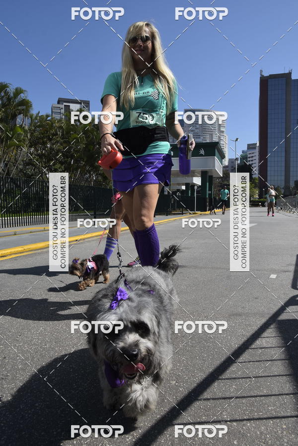 Buy your photos of the event2� Pet Run Shopping Eldorado  on Fotop