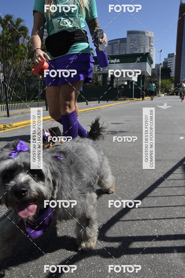 Buy your photos of the event2� Pet Run Shopping Eldorado  on Fotop