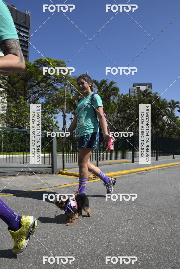 Buy your photos of the event2� Pet Run Shopping Eldorado  on Fotop