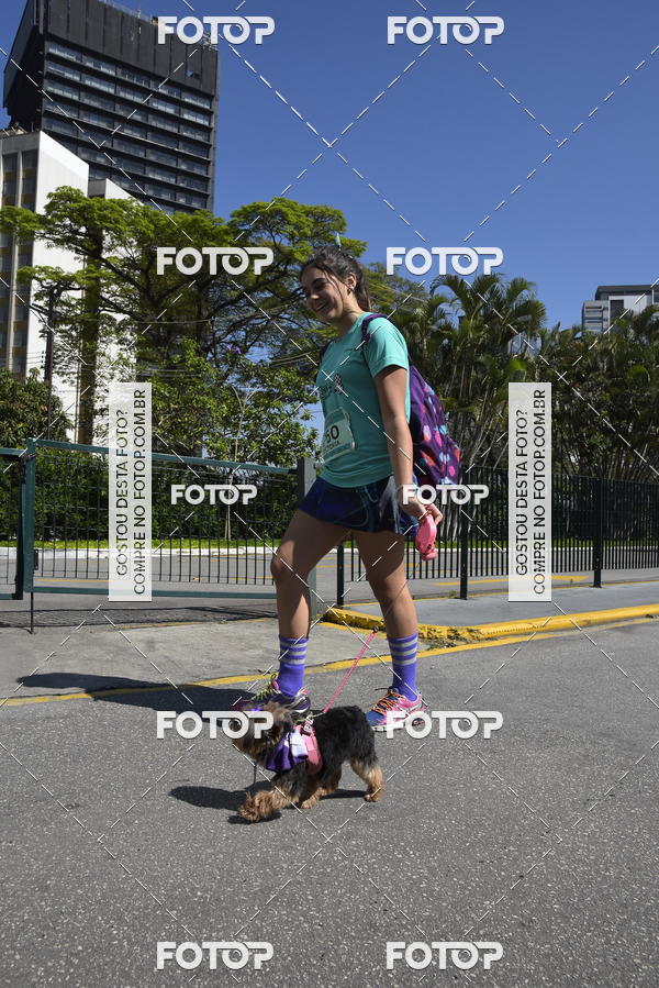 Buy your photos of the event2� Pet Run Shopping Eldorado  on Fotop
