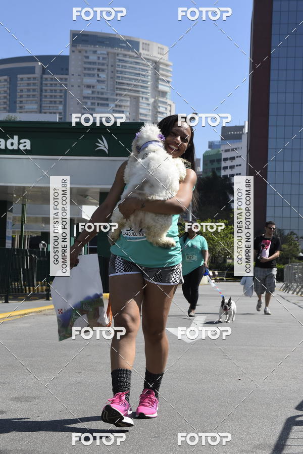 Buy your photos of the event2� Pet Run Shopping Eldorado  on Fotop