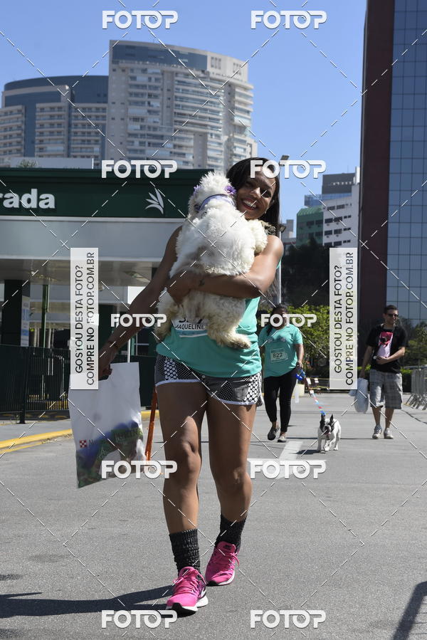 Buy your photos of the event2� Pet Run Shopping Eldorado  on Fotop