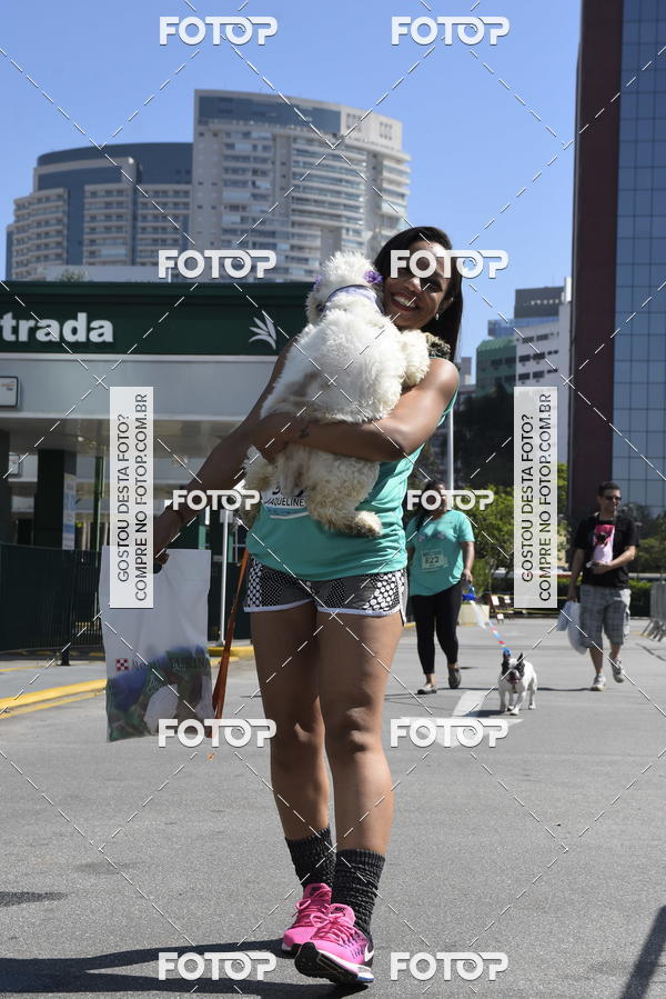 Buy your photos of the event2� Pet Run Shopping Eldorado  on Fotop