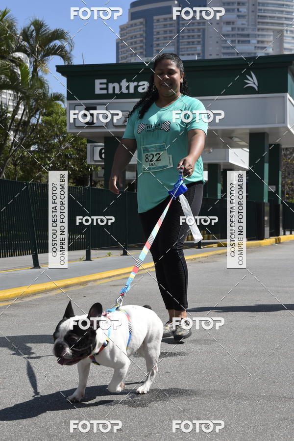 Buy your photos of the event2� Pet Run Shopping Eldorado  on Fotop