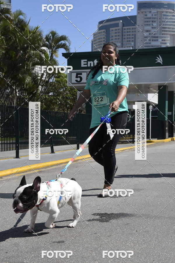 Buy your photos of the event2� Pet Run Shopping Eldorado  on Fotop