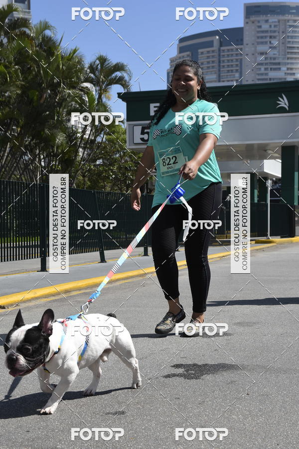 Buy your photos of the event2� Pet Run Shopping Eldorado  on Fotop