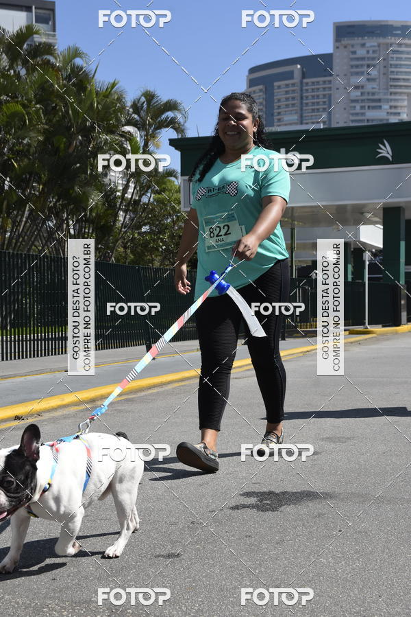 Buy your photos of the event2� Pet Run Shopping Eldorado  on Fotop