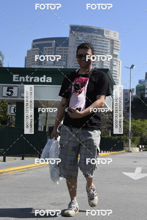 Buy your photos of the event2� Pet Run Shopping Eldorado  on Fotop