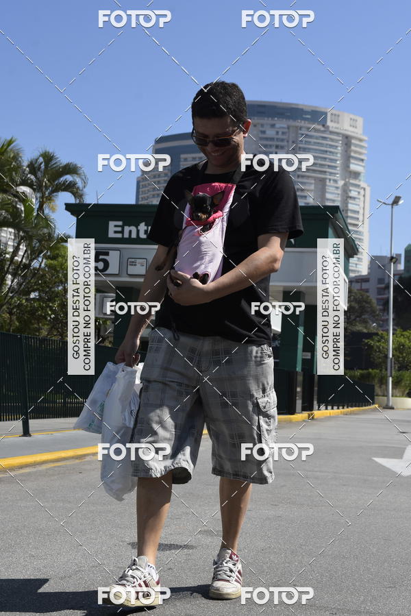Buy your photos of the event2� Pet Run Shopping Eldorado  on Fotop