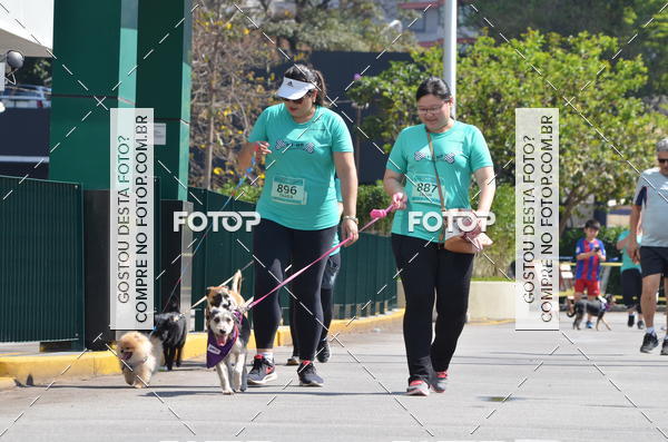 Buy your photos of the event2� Pet Run Shopping Eldorado  on Fotop