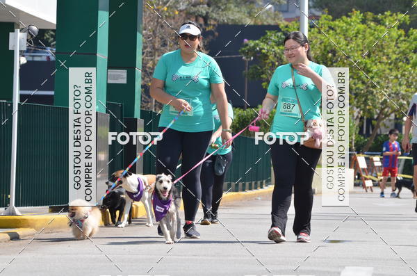 Buy your photos of the event2� Pet Run Shopping Eldorado  on Fotop