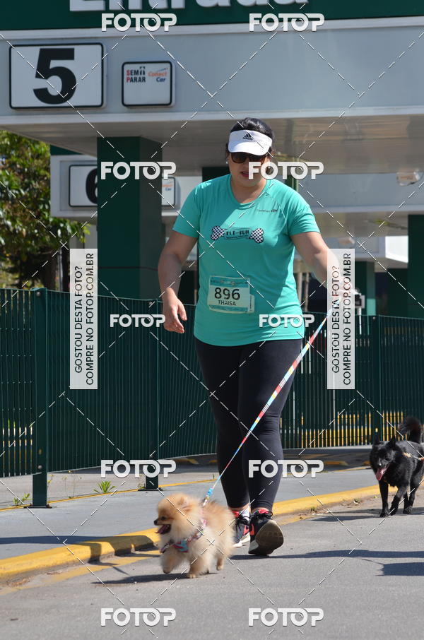 Buy your photos of the event2� Pet Run Shopping Eldorado  on Fotop