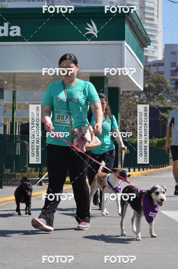 Buy your photos of the event2� Pet Run Shopping Eldorado  on Fotop