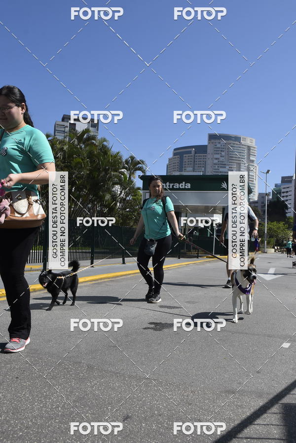 Buy your photos of the event2� Pet Run Shopping Eldorado  on Fotop