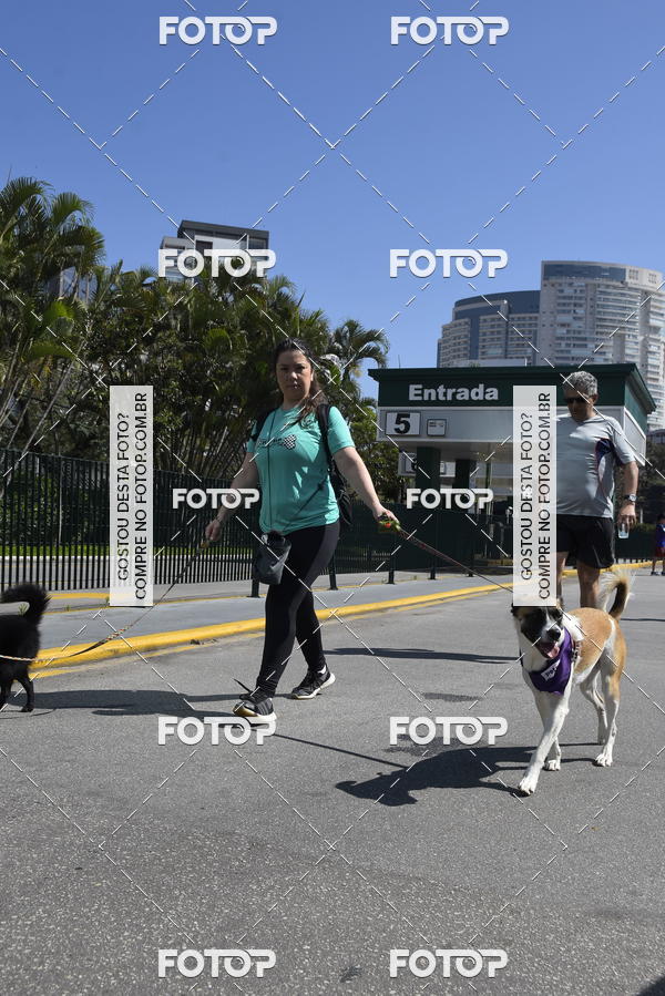 Buy your photos of the event2� Pet Run Shopping Eldorado  on Fotop