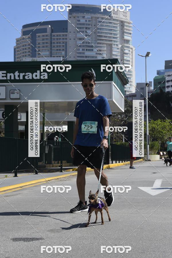 Buy your photos of the event2� Pet Run Shopping Eldorado  on Fotop