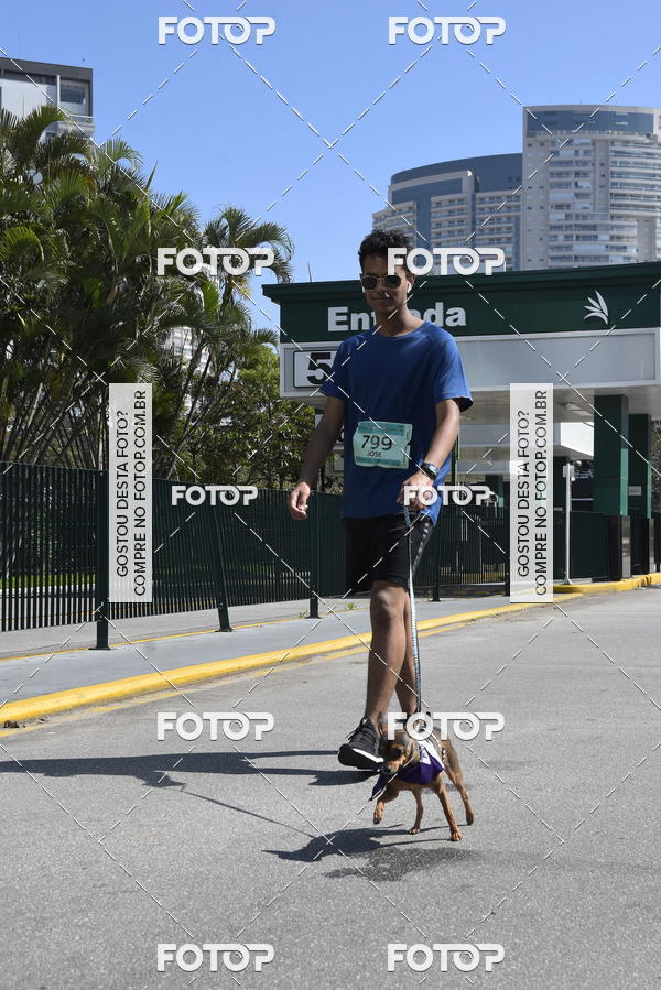 Buy your photos of the event2� Pet Run Shopping Eldorado  on Fotop