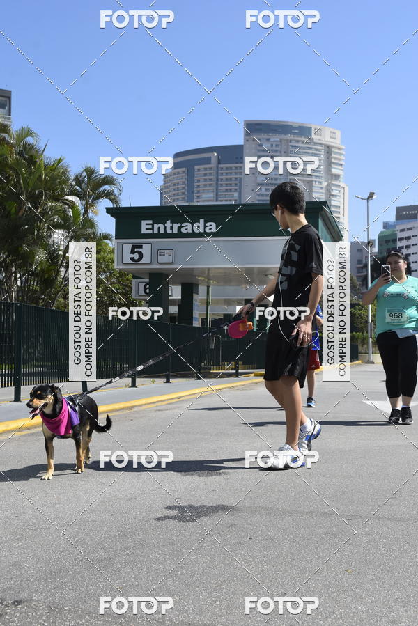 Buy your photos of the event2� Pet Run Shopping Eldorado  on Fotop