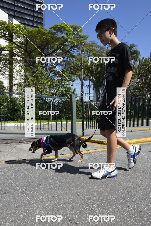 Buy your photos of the event2� Pet Run Shopping Eldorado  on Fotop