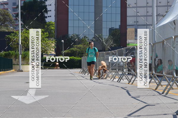Buy your photos of the event2� Pet Run Shopping Eldorado  on Fotop