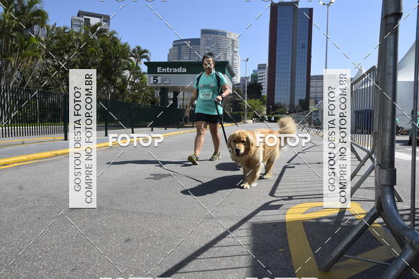 Buy your photos of the event2� Pet Run Shopping Eldorado  on Fotop