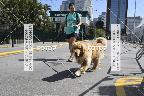 Buy your photos of the event2� Pet Run Shopping Eldorado  on Fotop