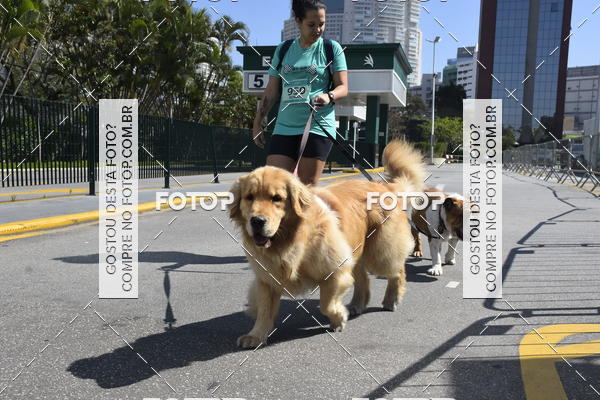 Buy your photos of the event2� Pet Run Shopping Eldorado  on Fotop