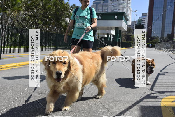 Buy your photos of the event2� Pet Run Shopping Eldorado  on Fotop