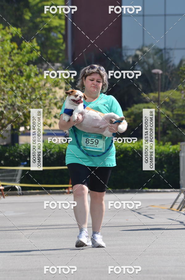 Buy your photos of the event2� Pet Run Shopping Eldorado  on Fotop