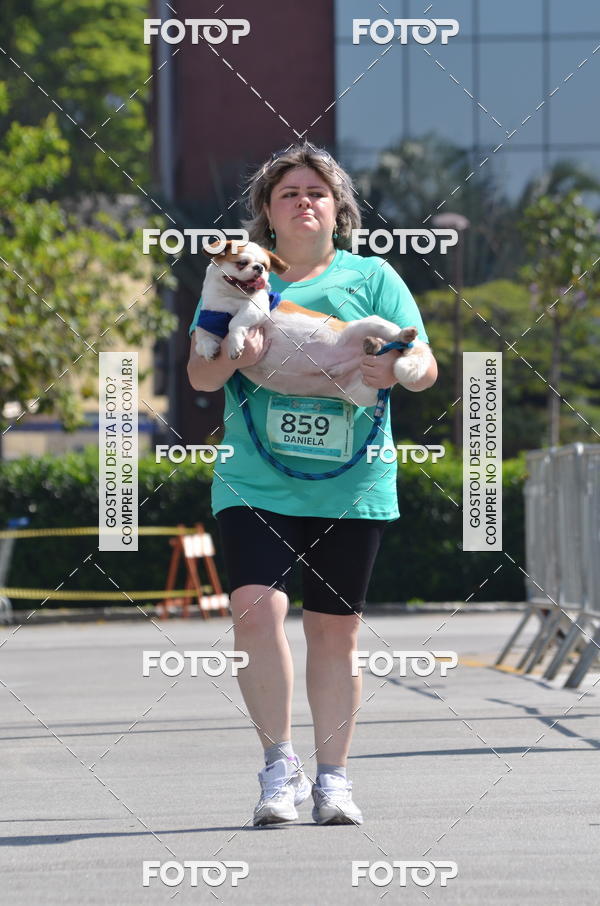 Buy your photos of the event2� Pet Run Shopping Eldorado  on Fotop