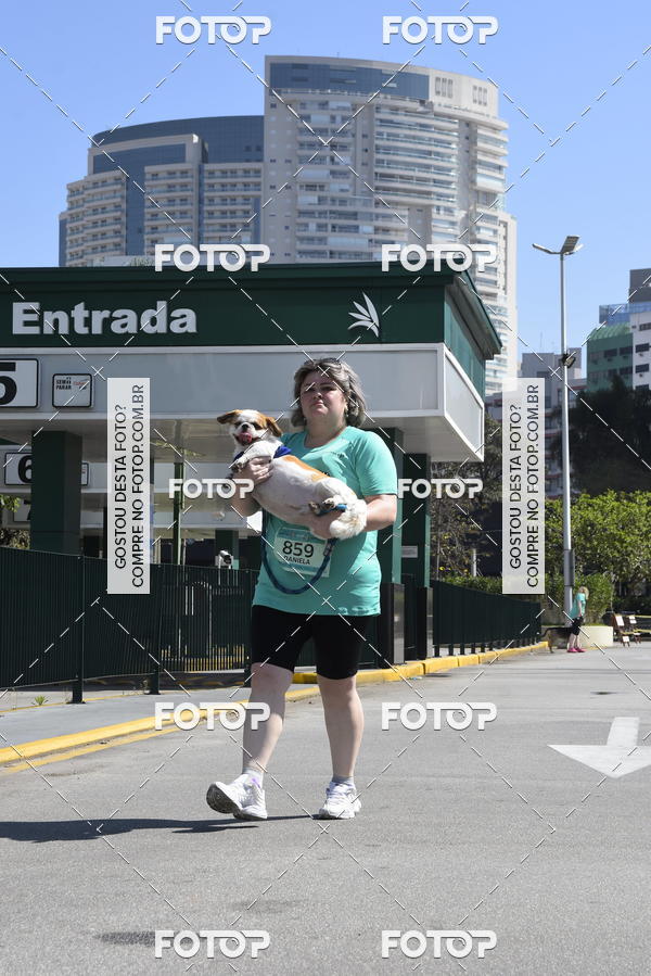 Buy your photos of the event2� Pet Run Shopping Eldorado  on Fotop