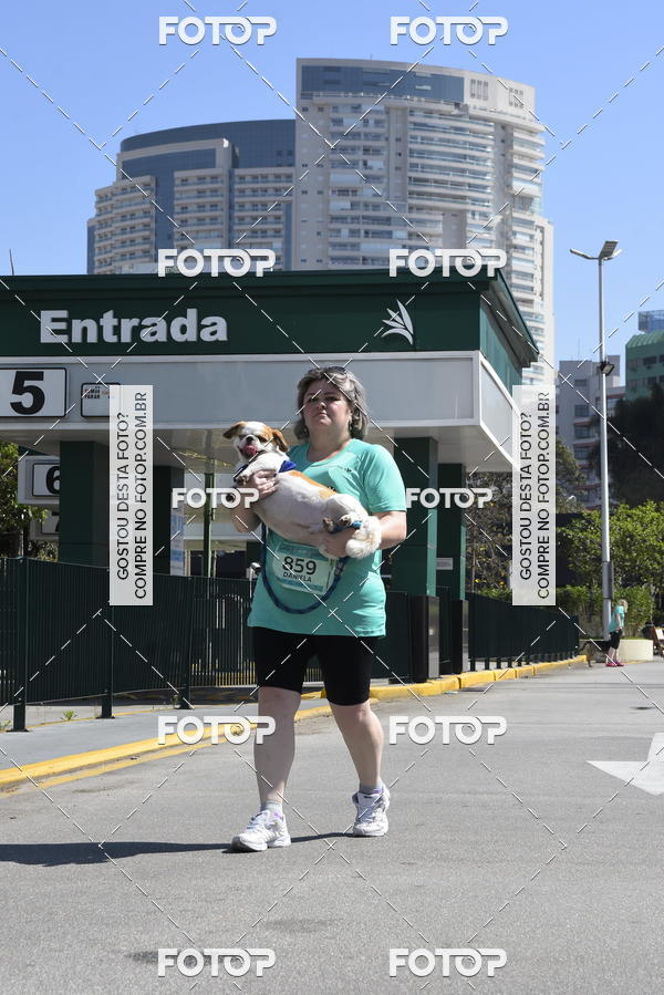 Buy your photos of the event2� Pet Run Shopping Eldorado  on Fotop