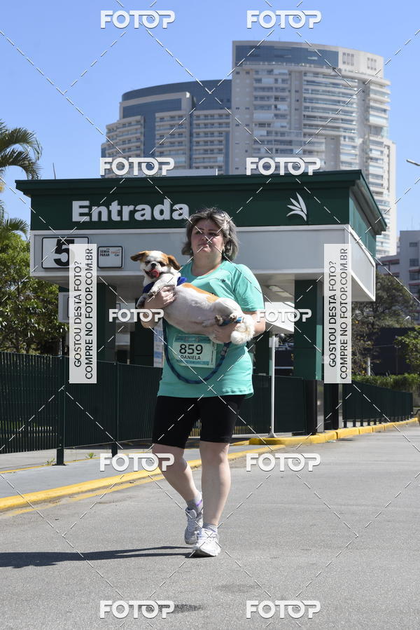 Buy your photos of the event2� Pet Run Shopping Eldorado  on Fotop