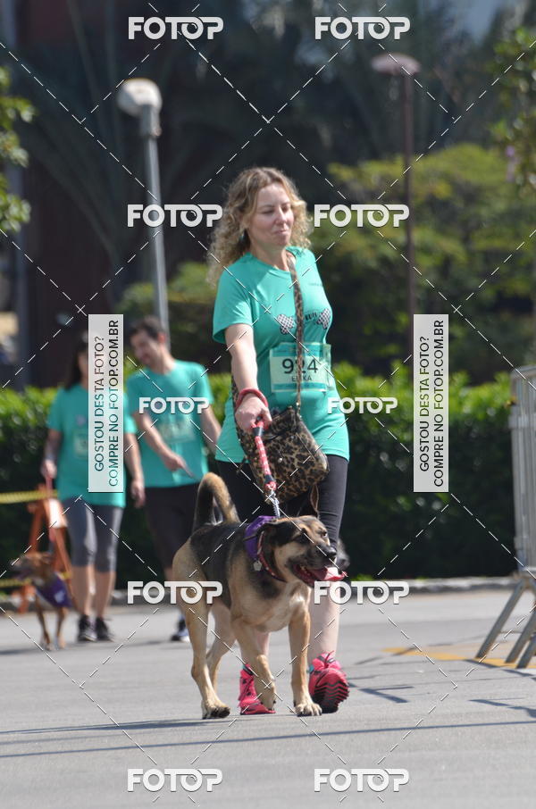 Buy your photos of the event2� Pet Run Shopping Eldorado  on Fotop