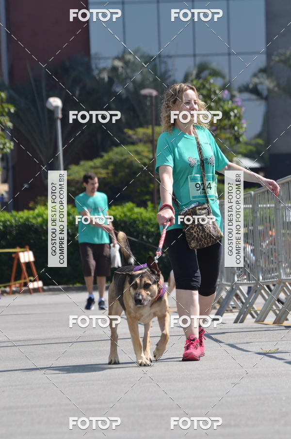 Buy your photos of the event2� Pet Run Shopping Eldorado  on Fotop