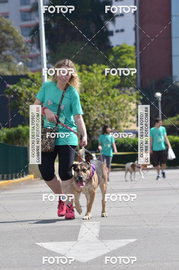 Buy your photos of the event2� Pet Run Shopping Eldorado  on Fotop
