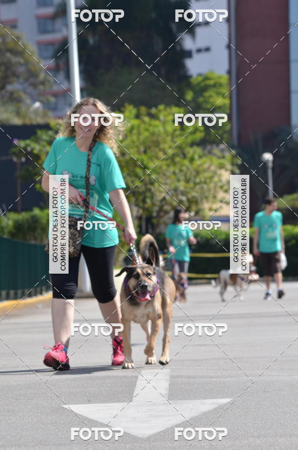 Buy your photos of the event2� Pet Run Shopping Eldorado  on Fotop