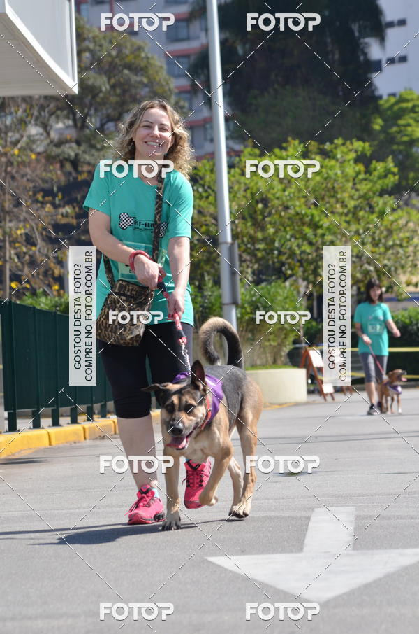 Buy your photos of the event2� Pet Run Shopping Eldorado  on Fotop