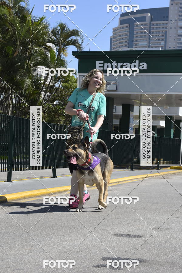 Buy your photos of the event2� Pet Run Shopping Eldorado  on Fotop