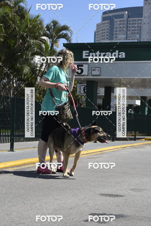 Buy your photos of the event2� Pet Run Shopping Eldorado  on Fotop