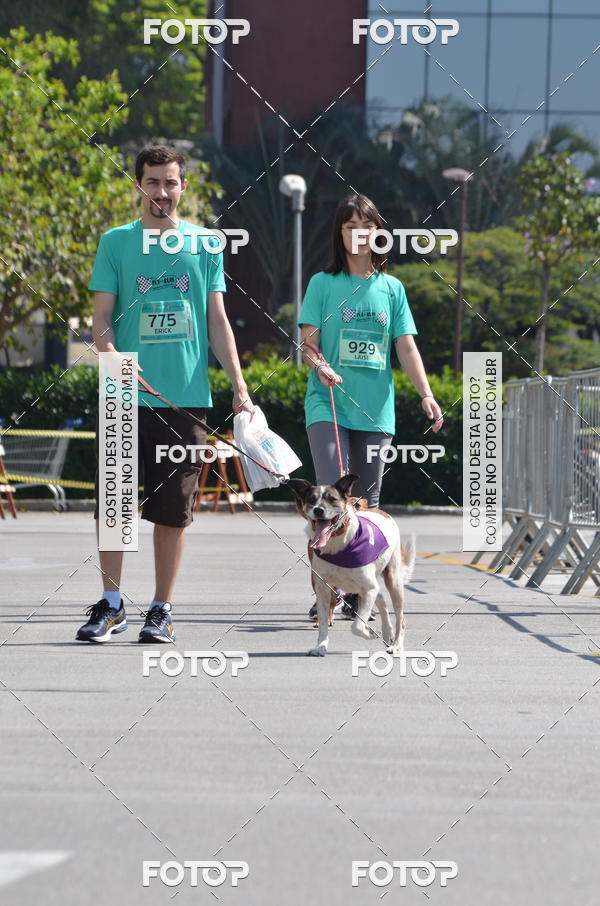Buy your photos of the event2� Pet Run Shopping Eldorado  on Fotop