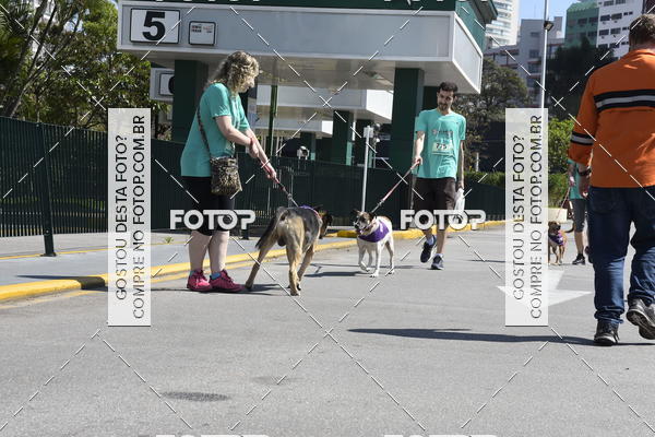 Buy your photos of the event2� Pet Run Shopping Eldorado  on Fotop