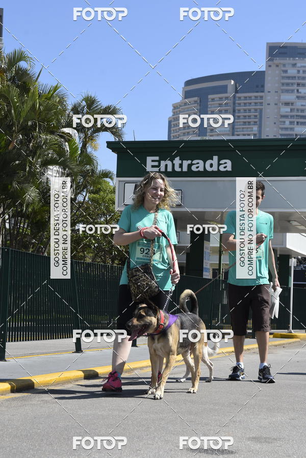 Buy your photos of the event2� Pet Run Shopping Eldorado  on Fotop