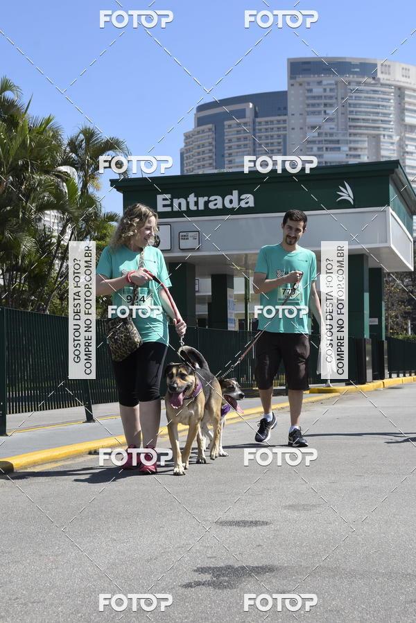 Buy your photos of the event2� Pet Run Shopping Eldorado  on Fotop
