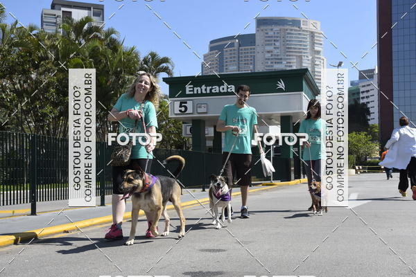 Buy your photos of the event2� Pet Run Shopping Eldorado  on Fotop